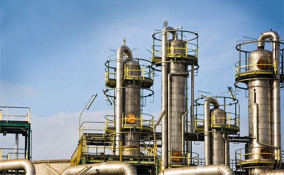 Chemical and Special Plants